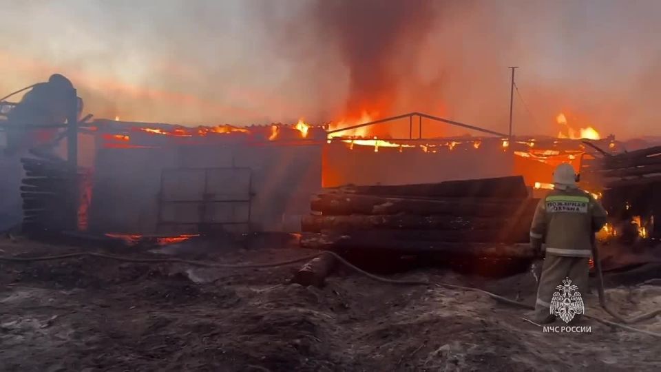 Аварийный режим работы электросети стал причиной крупного пожара в Курганской области