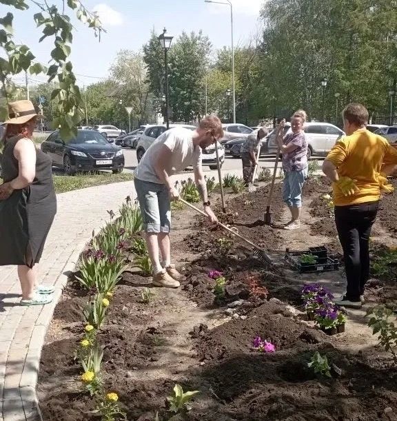 Клумба, которая радует глаз Клумба, которая радует глаз