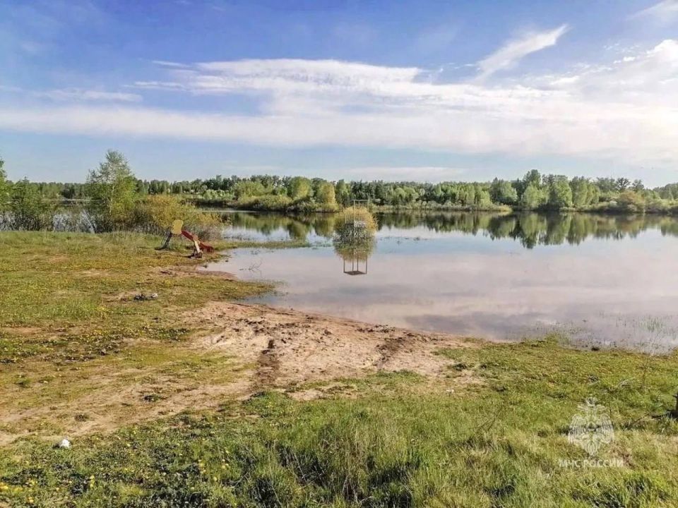В Курганской области 11-летний мальчик утонул, нырнув в воду с мостика