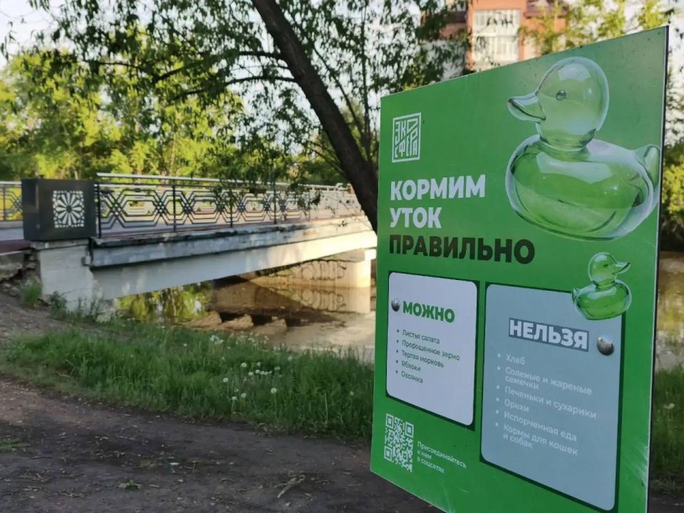 Организации, обслуживающие парки, напоминают: кормить птиц можно только в специально отведённых местах Организации, обслуживающие парки, напоминают: кормить птиц можно только в специально отведённых местах