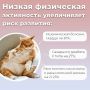 ������ ���������� ����������, ������ � ��������, ���������� ������ ����, ���������� ����������� ����������� � ����� � ���������� ������������ ���������, �������� �����������, ��������������� �������� ����� ��������...