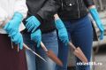 Курганцев просят избавляться от пяти опасных растений, замеченных на участках