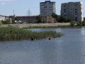 В Кургане водолазы обследовали дно водоемов в местах массового отдыха и купания