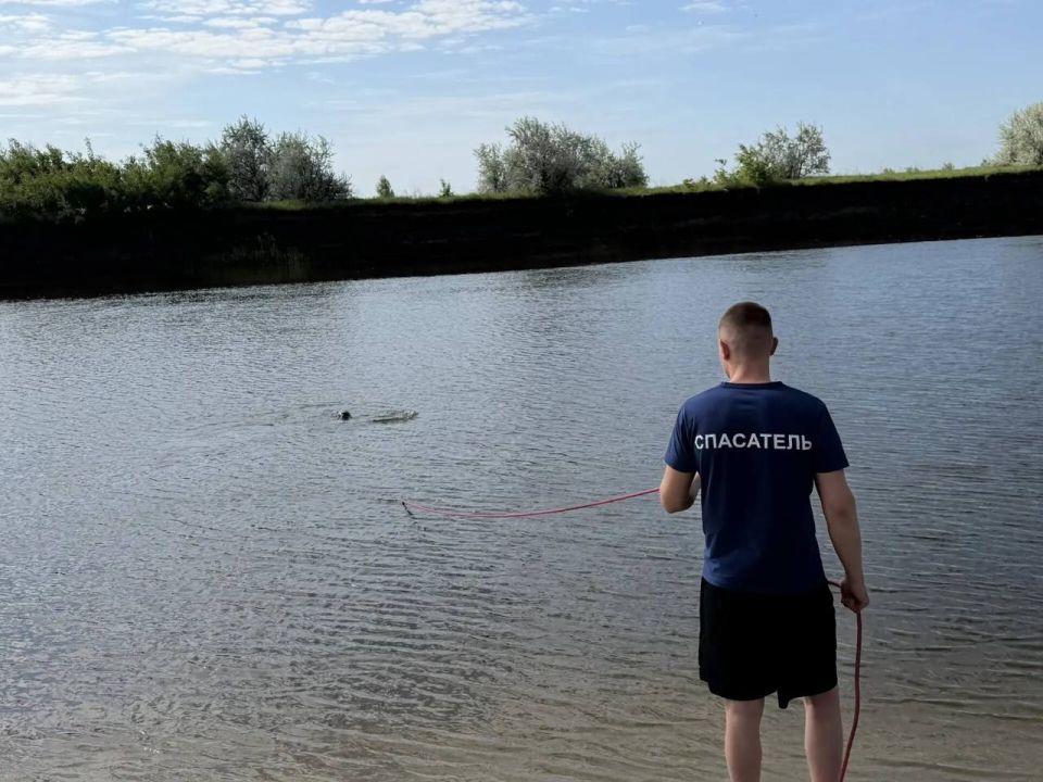 В Кургане водолазы обследовали дно водоемов в местах массового отдыха и купания В Кургане водолазы обследовали дно водоемов в местах массового отдыха и купания