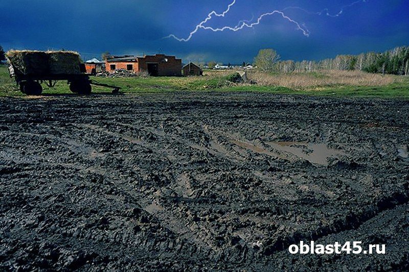На Курганскую область надвигаются грозы и ожидается сильный ветер