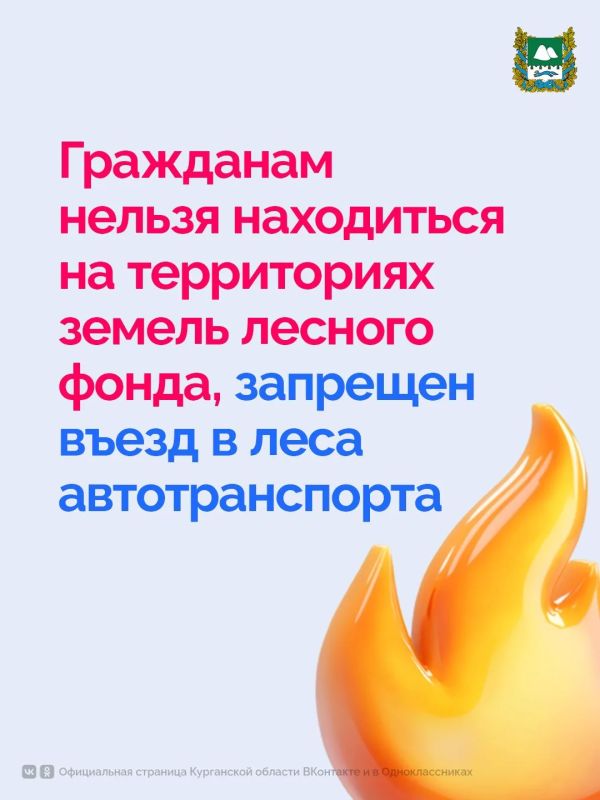 В Курганской области продолжают действовать особый противопожарный режим и запрет на посещение лесов В Курганской области продолжают действовать особый противопожарный режим и запрет на посещение лесов