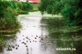 ��� ���������� �������� ����� ��������� �������� ����� � ��� ������ ������� ���� �� �����