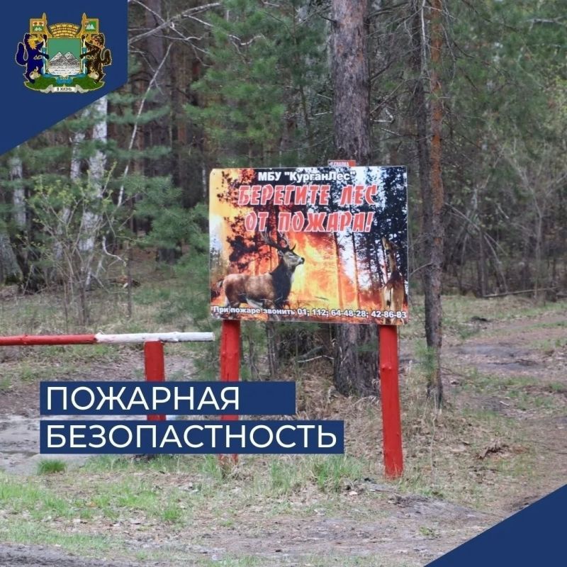 В Кургане продлен запрет на посещение лесов