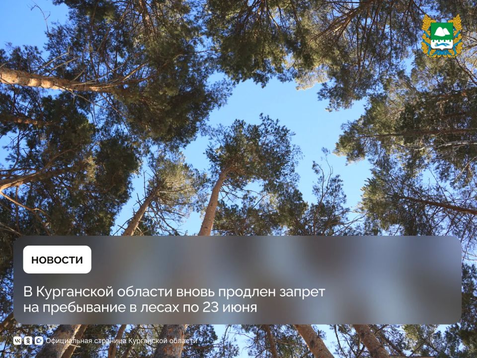 В Курганской области вновь продлен запрет на пребывание в лесах по 23 июня