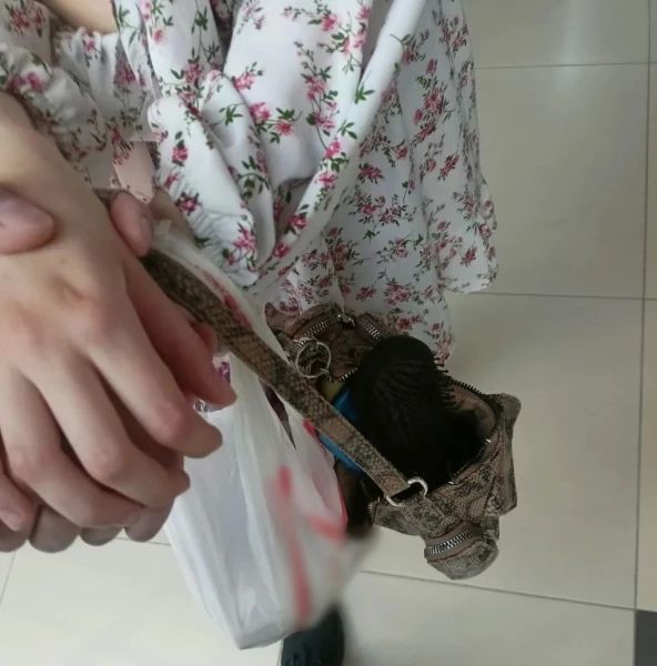 В Кургане сотрудниками полиции задержана курганская студентка за распространение «тайниковых закладок» В Кургане сотрудниками полиции задержана курганская студентка за распространение «тайниковых закладок»