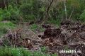В Шумихинском округе обнаружили нарушения при захоронении биологических отходов