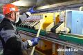 � �������� ������ ����� � ���������� ������� � � ���, ������ ���� ������� ����������