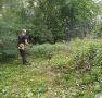 Мы продолжаем вести активную работу с обращениями граждан