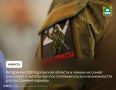 Ветеранов СВО Курганской области и членов их семей приглашают принять участие в онлайн-встрече по теме: «Навигатор возможностей для ветеранов СВО и их семей», которая состоится 16 июня в 18:00 на платформе просветительского...