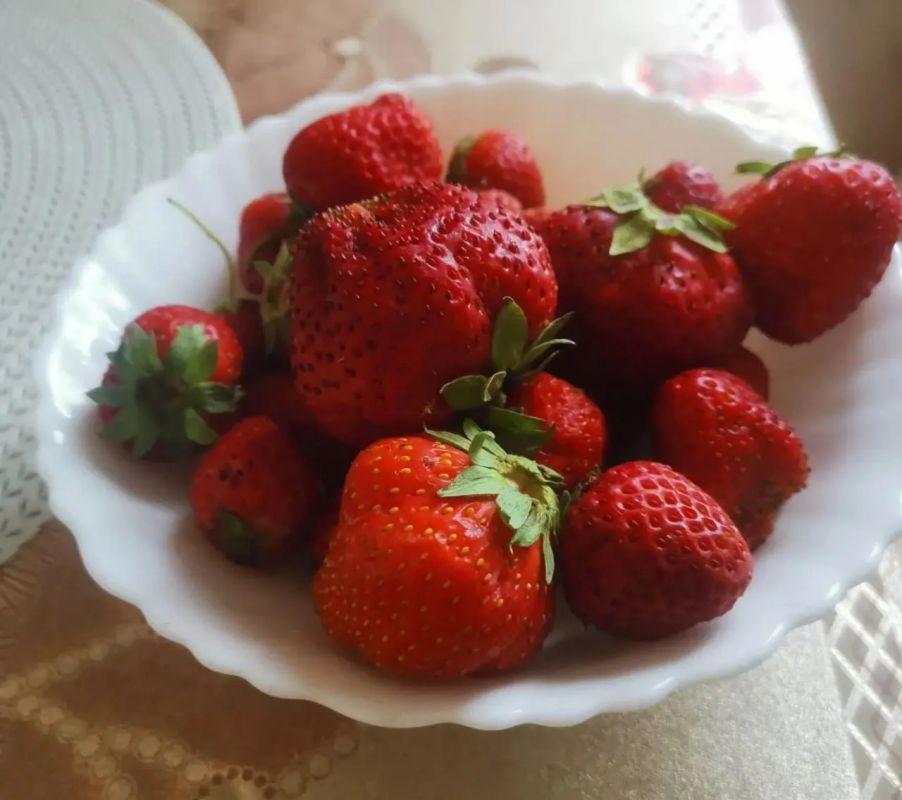 Осторожно, вкусные фото: курганцы продают урожай клубники, земляники и жимолости Осторожно, вкусные фото: курганцы продают урожай клубники, земляники и жимолости