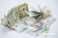 Курганская пенсионерка отдала мошенникам все свои доллары и рубли