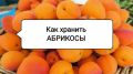 Секреты долгого хранения абрикосов: как сохранить свежесть и вкус