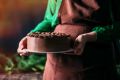 Шоколадный пирог из Швеции: вкус, который запомнится навсегда