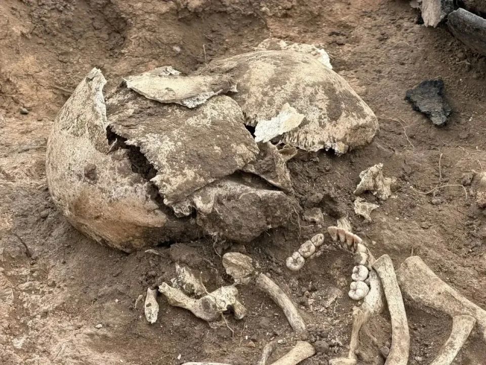 В Самарской области обнаружили одно из древнейших захоронений на территории России В Самарской области обнаружили одно из древнейших захоронений на территории России