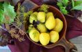 Картошка: секреты здоровья и похудения, о которых не подозревали
