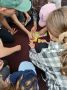 Безопасность в формате игры: в Шумихинском округе специалисты МЧС России провели квест для детей