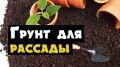��� ��������� ����������� ����� ��� ������� � �������� �������