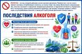 Алкоголь – это яд, который действует на все системы организма