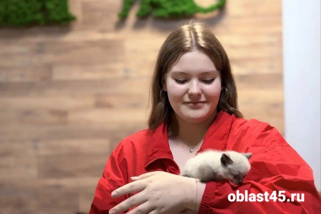 После сюжета «Область 45» у подброшенного в ветклинику котёнка появилась семья