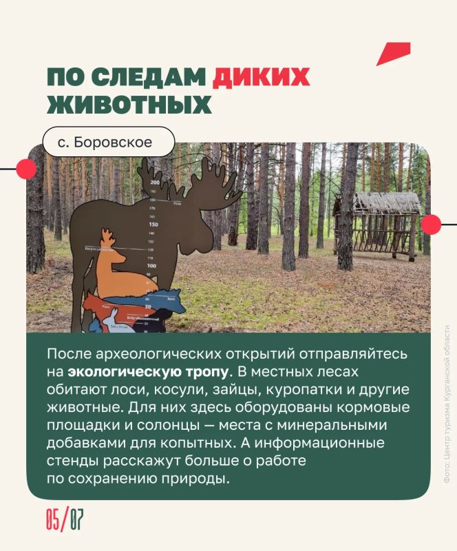 Отправляемся в автопутешествие по Белозерскому округу: древние курганы, таинственная астрономическая обсерватория и живописное озеро Отправляемся в автопутешествие по Белозерскому округу: древние курганы, таинственная астрономическая обсерватория и живописное озеро