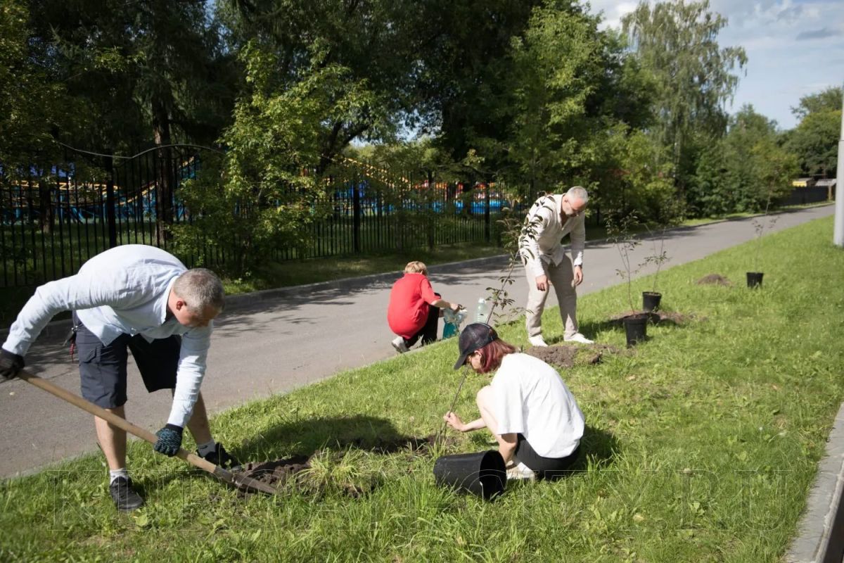 Кургане продолжается озеленительная кампания Кургане продолжается озеленительная кампания