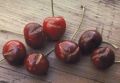 Трещины на вишнях и сливах: что стоит знать и как избежать неприятностей