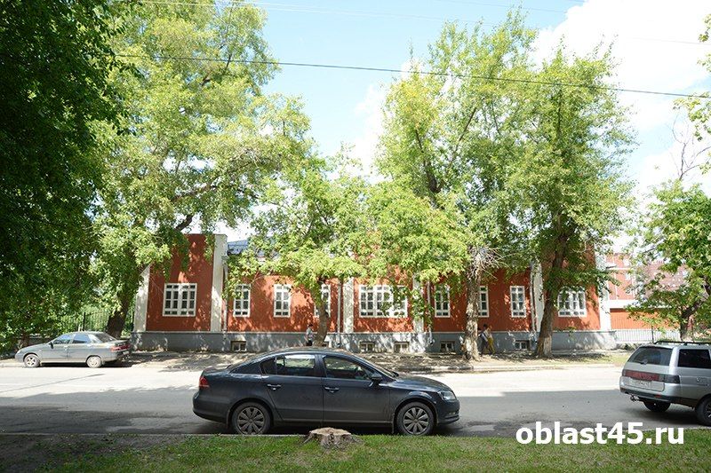 Как безопасно ездить в жару: в ГАИ дали советы курганским водителям