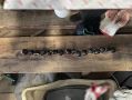 В Кургане сотрудники полиции изъяли у местных жителей почти 65 граммов синтетических наркотиков