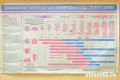 Карта инноваций для репродуктивного здоровья: в России создадут навигатор медицинских запросов