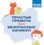 ������� ������� ��� ���������� �������