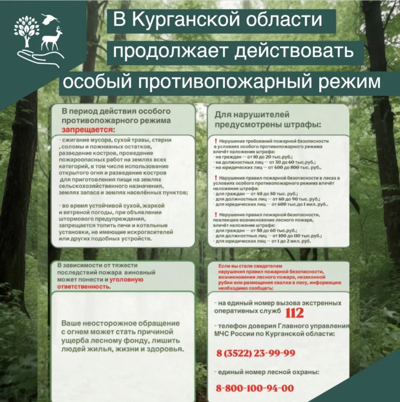 Накануне выходных, когда многие едут отдыхать на природу, насладится ее красотой и тишиной леса хотим напомнить, что в Курганской области продолжает действовать особый противопожарный режим