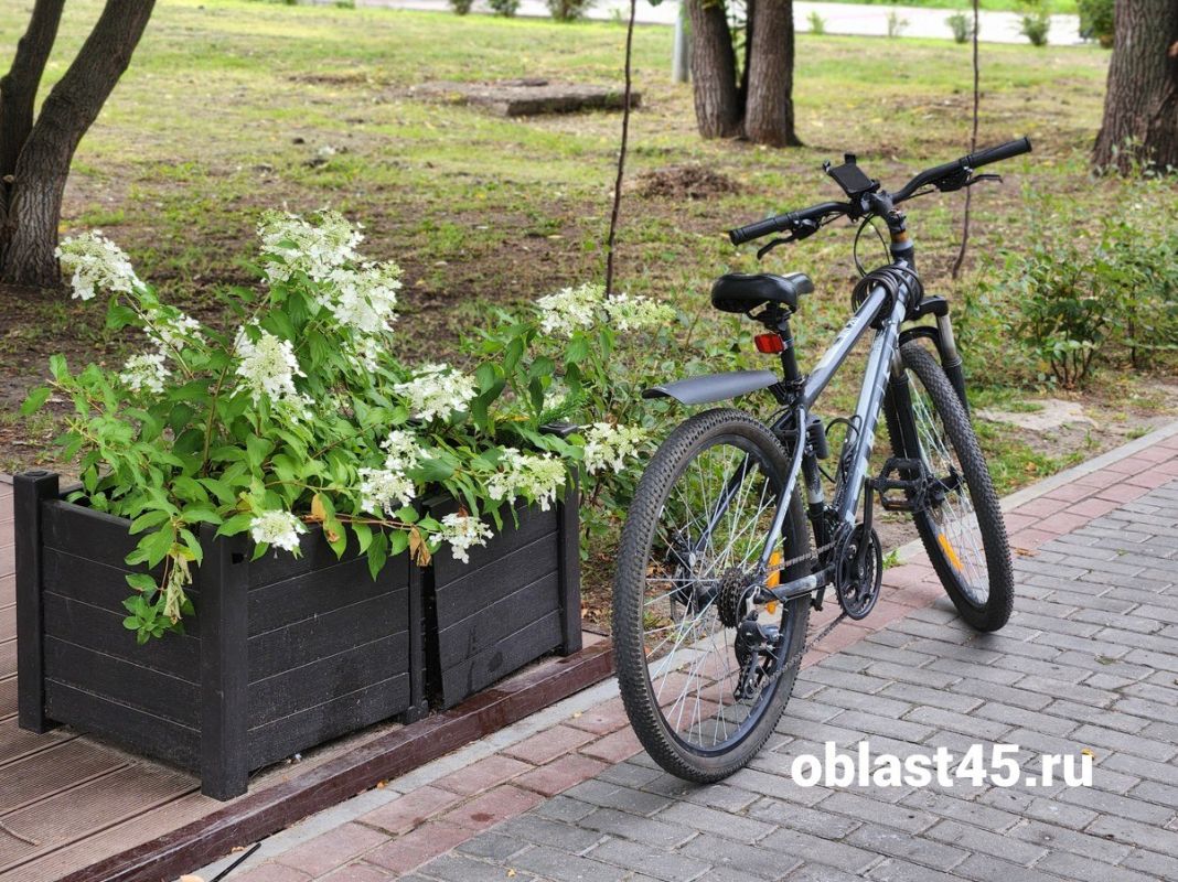 В Кургане задержан рецидивист, укравший велосипед из подъезда за восемь тысяч рублей