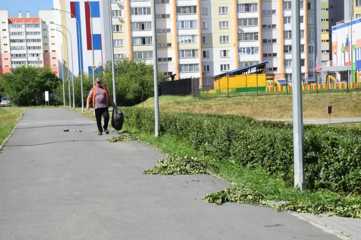 Антон Науменко: В Заозерном заехали в парк в 4-м микрорайоне Антон Науменко: В Заозерном заехали в парк в 4-м микрорайоне