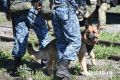 В Шатровском округе ФСБ нагрянула в нарколабораторию, которую организовал тюменец