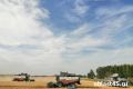 Курганская область подтвердила статус хлебного края Урала