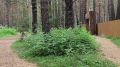 Все больше жителей Кургана и гостей города привлекает экопарк в микрорайоне Рябково