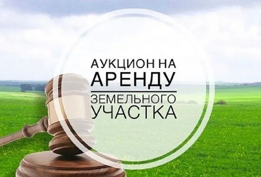 Начался прием заявок на участие в электронных аукционах на право заключения договоров аренды земельных участков для коммерческой застройки в городе Кургане (для субъектов малого и среднего предпринимательства)
