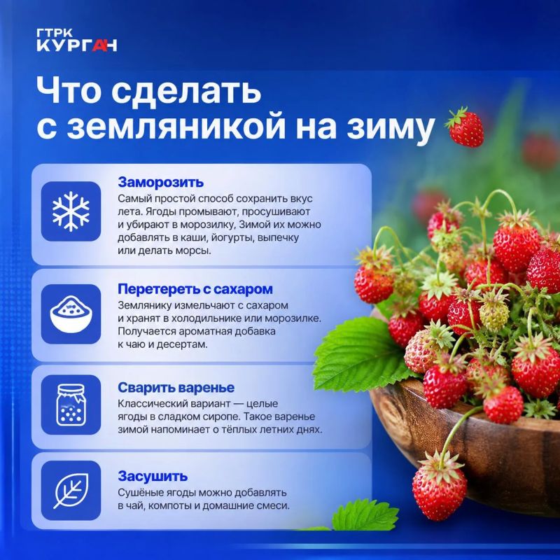 Курганцы успевают собрать последние ягоды земляники Курганцы успевают собрать последние ягоды земляники