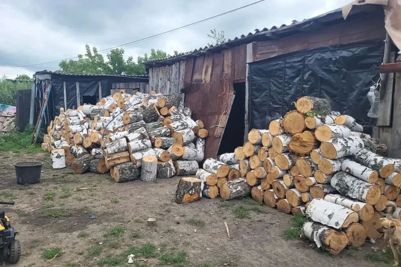 В Лебяжьевском округе полицией задержан подозреваемый в незаконной рубке деревьев В Лебяжьевском округе полицией задержан подозреваемый в незаконной рубке деревьев