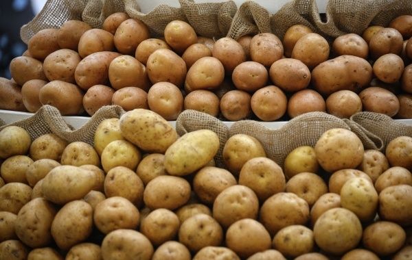 Исторический миф: как Пётр I стал неофициальным «отцом» картофеля в России