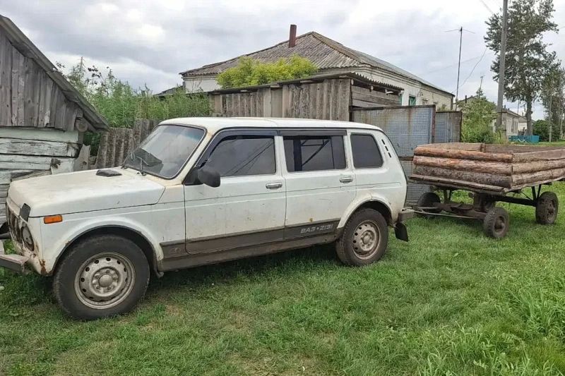 В Лебяжьевском округе полицией задержан подозреваемый в незаконной рубке деревьев В Лебяжьевском округе полицией задержан подозреваемый в незаконной рубке деревьев
