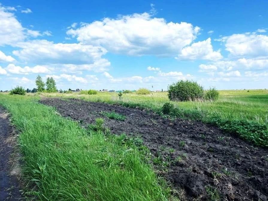 На страже пожарной безопасности На страже пожарной безопасности