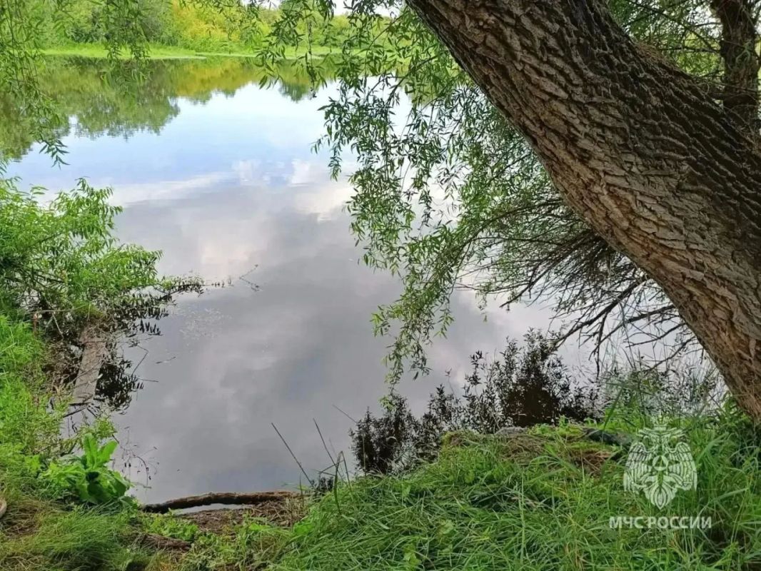 Силовики показали водоём в Зауралье, в котором погибла девочка