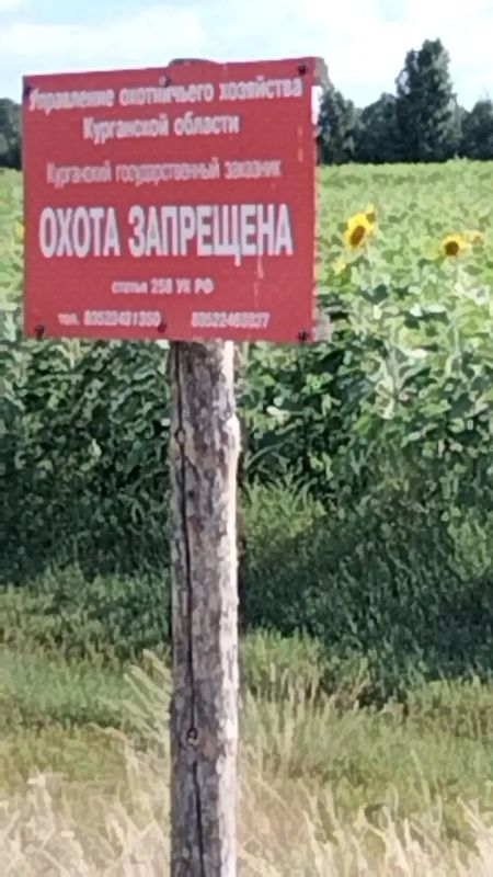 Соляные «рестораны» для лесных обитателей: как проходит биотехния в Курганском заказнике на территории Целинного округа Соляные «рестораны» для лесных обитателей: как проходит биотехния в Курганском заказнике на территории Целинного округа