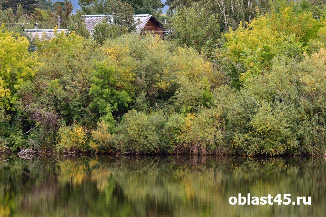 Курганской области уровень воды в Исети у Далматово поднялся на 10 сантиметров